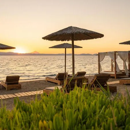 Tatil Evi Holiday Home Electra Paliouri